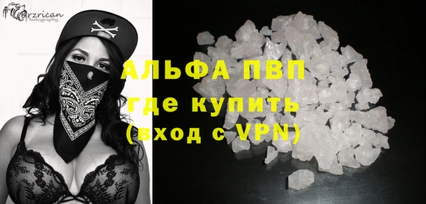 сатива Бежецк