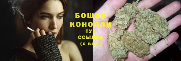 сатива Бежецк