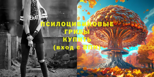 индика Белая Калитва