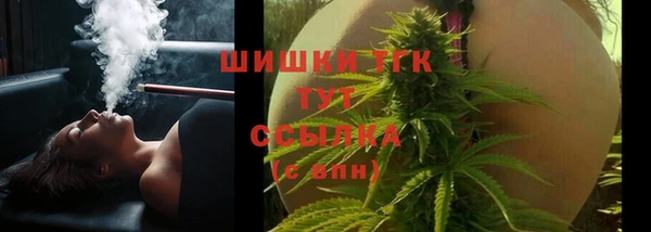 сатива Бежецк