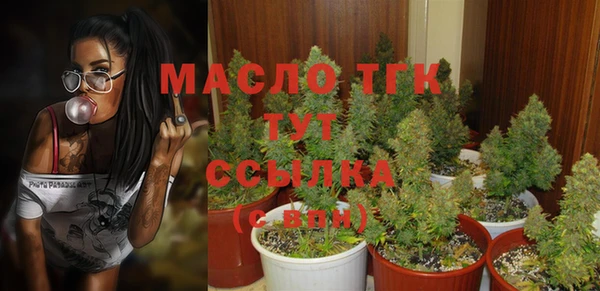 сатива Бежецк