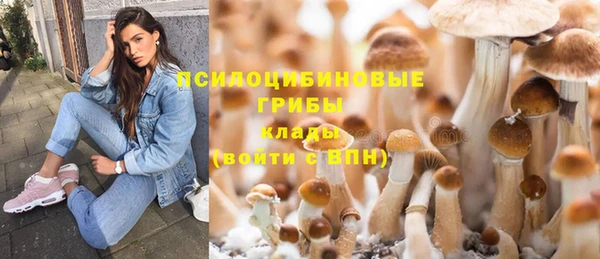 синтетический гашиш Белая Холуница