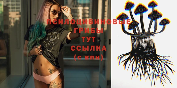 сатива Бежецк