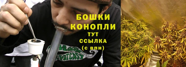 сатива Бежецк