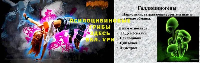 нарко площадка как зайти  Зеленогорск  ОМГ ОМГ ссылки  Галлюциногенные грибы мицелий  хочу  