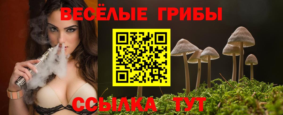 Галлюциногенные грибы ЛСД Зеленогорск
