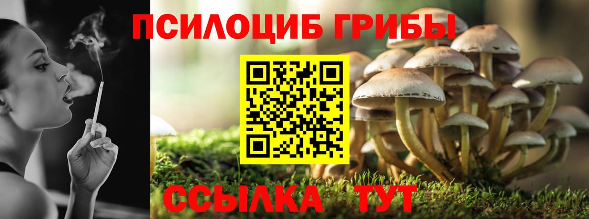 Галлюциногенные грибы прущие грибы  Вход с VPN  цены   Зеленогорск  Псилоцибиновые грибы Magic Shrooms 